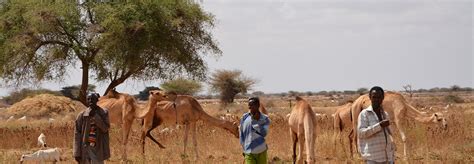 Somalia – LDC Climate Change