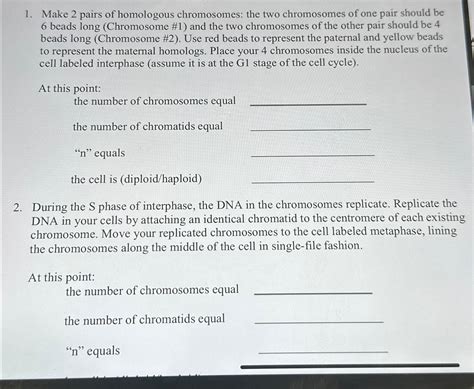 Solved Make 2 ﻿pairs of homologous chromosomes: the two | Chegg.com 