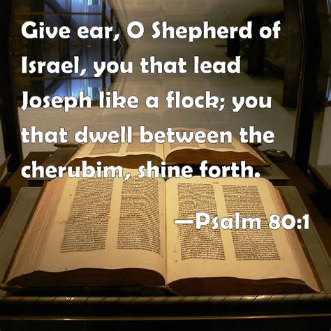 Psalm 801 Give Ear O Shepherd Of Israel You That Lead Joseph Like A