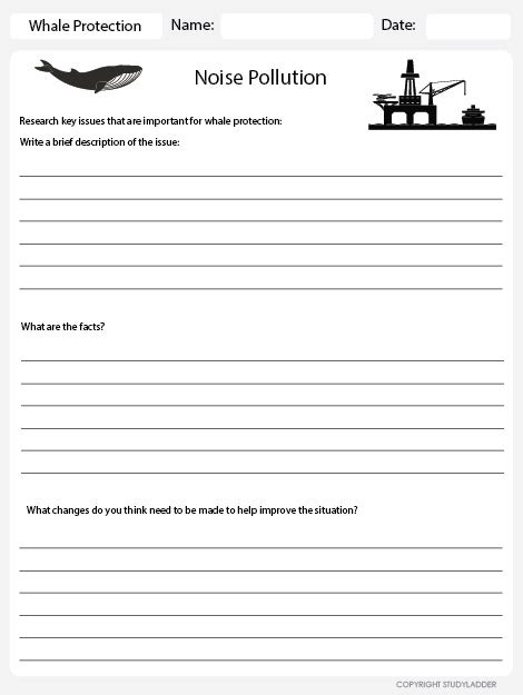 Environmental Issues: Noise Pollution Worksheet - Studyladder ...