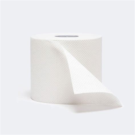 Recycled Toilet Paper by Who Gives a Crap | Boston General Store