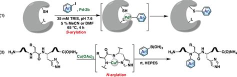 Organometallic Chemical Biology An Organometallic Approach To