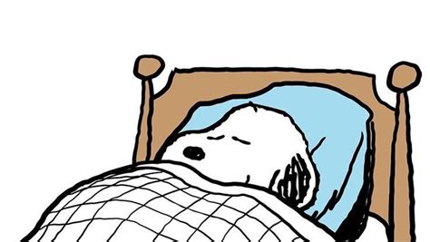 Pin by sandra on snoopy | Snoopy sleeping, Snoopy wallpaper, Snoopy images