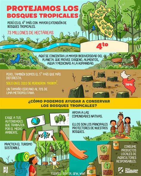 Infografía Día de los Bosques Tropicales cómo podemos ayudar a