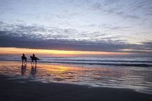 Horse Silhouette Sunset Beach Free Stock Photo - Public Domain Pictures