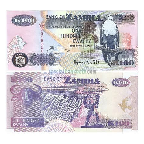 Zambia K100 Kwacha Banknote 1992 2011 Unc Special Minds Store