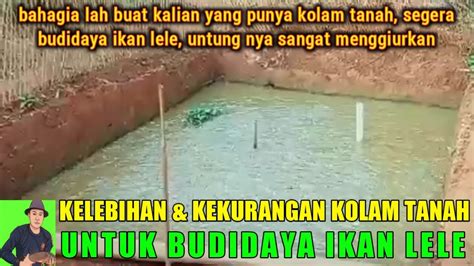 KELEBIHAN DAN KEKURANGAN KOLAM TANAH YouTube