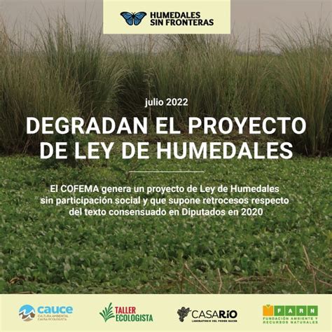 Degradan El Proyecto De Ley De Humedales Taller Ecologista