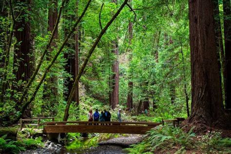 San Francisco Muir Woods Redwoods And Wine Country Tour Getyourguide