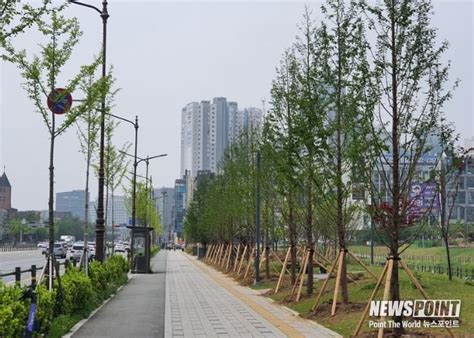 천안시 도시 바람길 숲 척척 진행 중 10월 완료 예정 뉴스박스