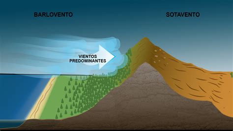 El Papel Del Viento