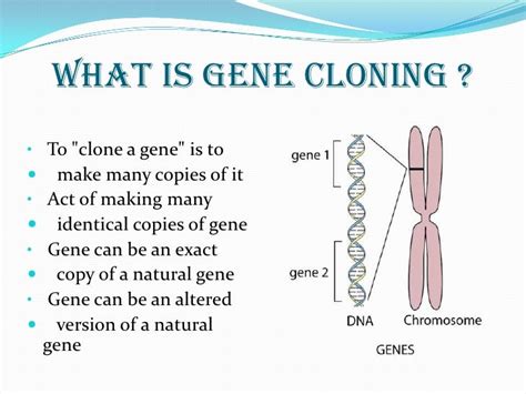 Gene cloning