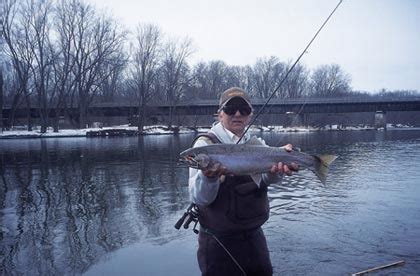 Michigan S Super Steelhead Streams Game Fish