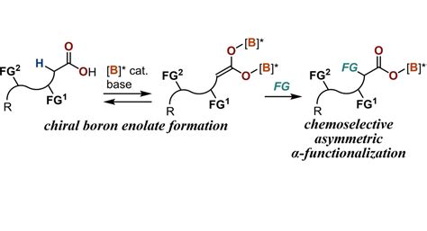 Boron Chem Research on Twitter Boron Catalyzed α Functionalizations