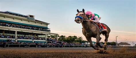 Pegasus World Cup Preview Sportsbook Pay Per Head