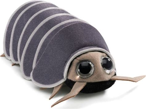 Roly Poly Plush Informacionpublica Svet Gob Gt