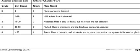 Anterior Chamber Cell And Flare Grading Download Scientific Diagram