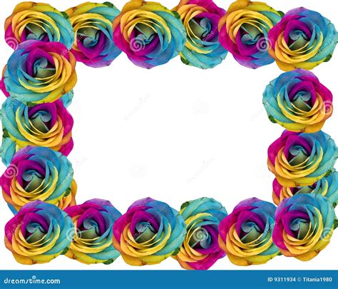 Rainbow Roses Frame Stock Images - Image: 9311934