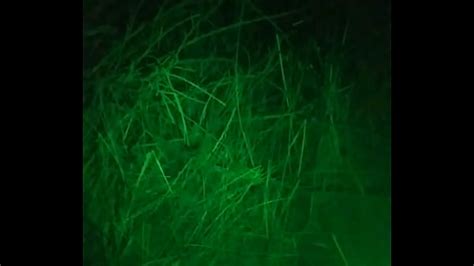 Gay Frogs Xxx Mobile Porno Videos Movies IPornTV Net