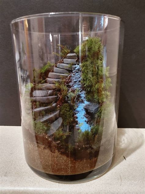 Moss Terrarium - Etsy