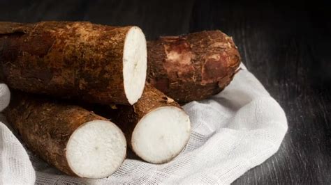 ¿qué Es La Yuca Y Cuáles Son Sus Propiedades