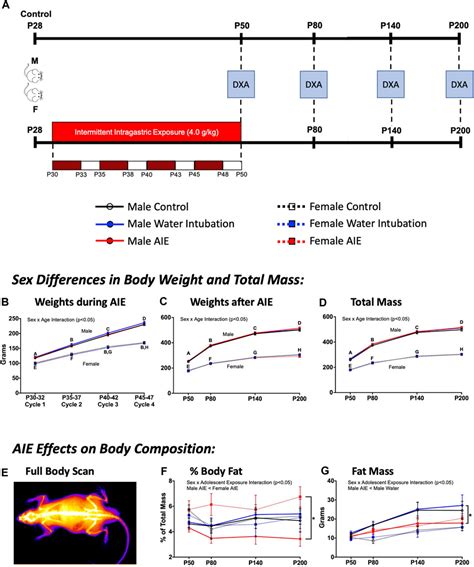 Frontiers Adolescent Intermittent Ethanol AIE Produces Lasting Sex Specific Changes In Rat