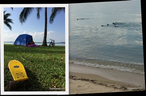 Camping In Singapore, Pasir Ris Park - Sengkang Babies