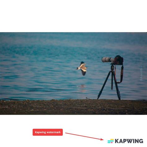 4 Ways To Make Photo Square Without Cropping MrNoob