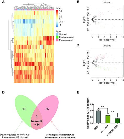 MiR 424 3p Is Downregulated In GC Specimens Of Patients A Heatmap