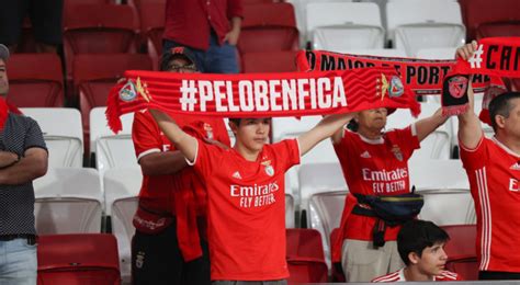 Jogo Benfica X Southampton Em Directo Vai Transmitir Em Sinal Aberto