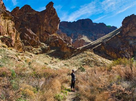 Timber Gulch Hike Image