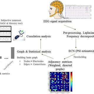 Flowchart For The Eeg Data Analysis Pipeline To Characterize Patterns