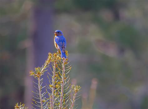 The city of lowell employees perk that taxpayers didn't know 3