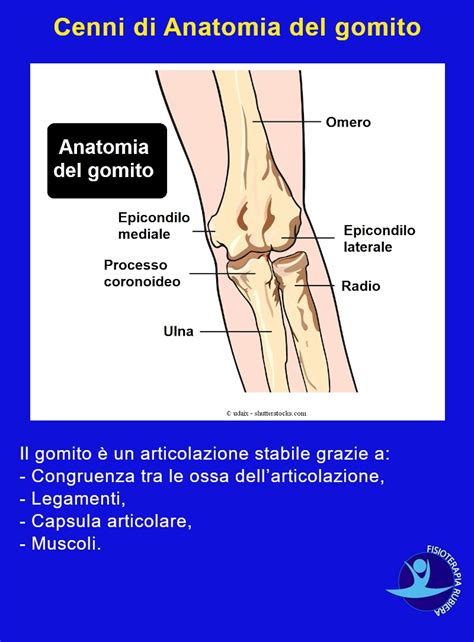 Lussazione del Gomito i Rischi e la Terapia più Efficace