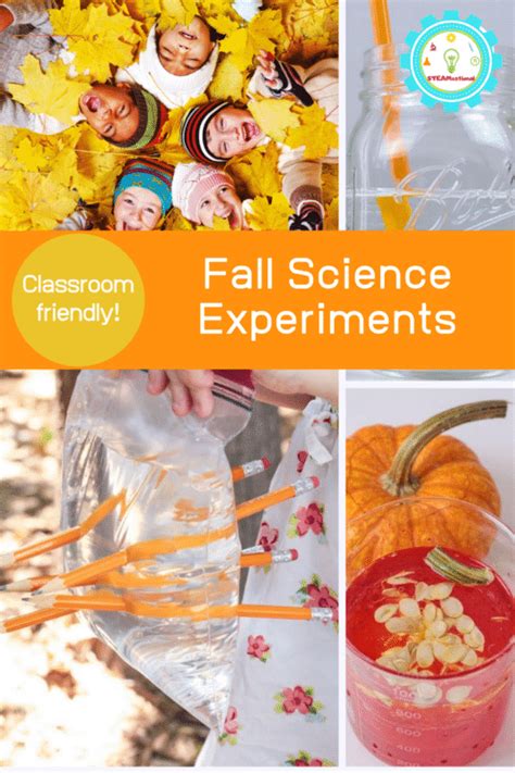 23 Fun Harvest Activities for Preschoolers - OhMyClassroom.com