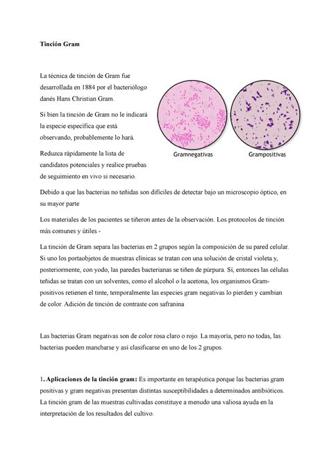 Tinción Gram Y Procedimiento Tinción Gram La Técnica De Tinción De Gram Fue Desarrollada En