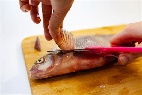 Come Pulire Il Pesce In Modo Facile Guida Passo A Passo