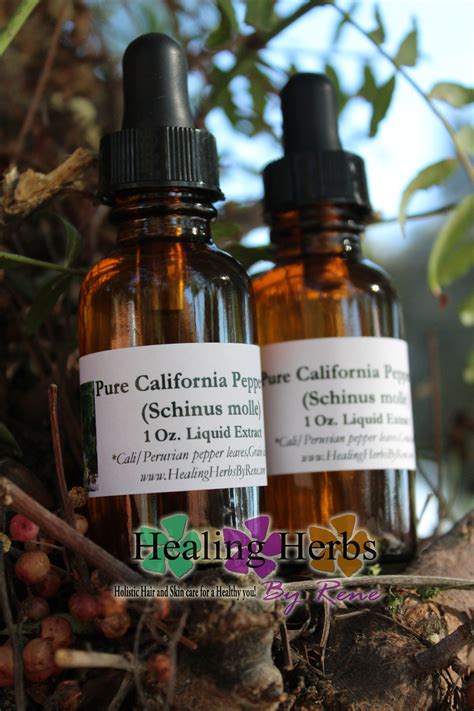 California Peruvian Pepper Tree Extract Pirul Tree