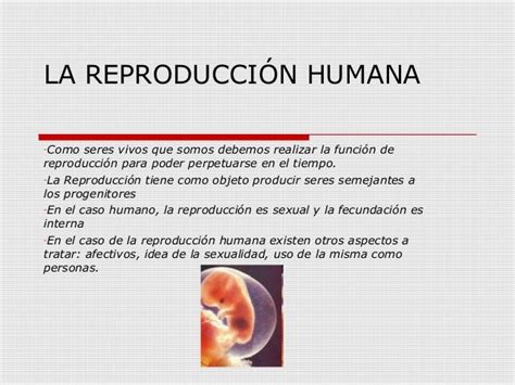 La Reproducción Humana