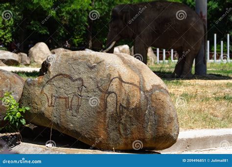 A Stone In Which Traces Of Fossilized Coral Deposits Crimea Stock