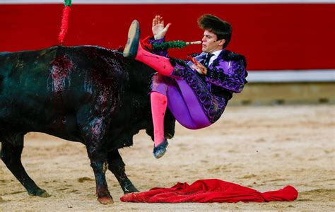 Novillada de la Ganadería de Pincha en Pamplona