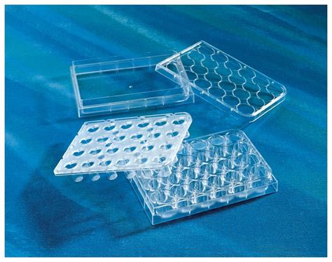 Corning Sistema De Soporte Permeable HTS Transwell De 24 Pocillos