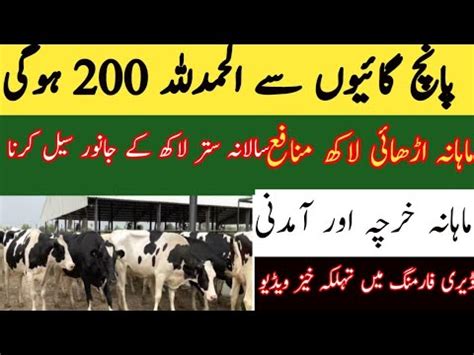 How To Start Cow Dairy Farming Business In Pakistan Pakistani Dairy