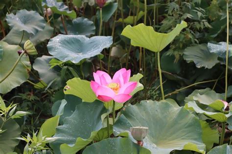 부산 기장 철마면 곰내연밭 기장 가볼만한곳 네이버 블로그