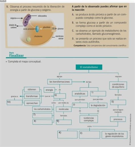 Porfa Ay Deme En El Punto Y En El Mapa Conceptual Con El N Mero De La