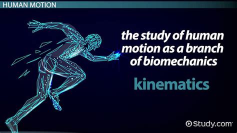 Kinematics Of Human Motion Lesson Study