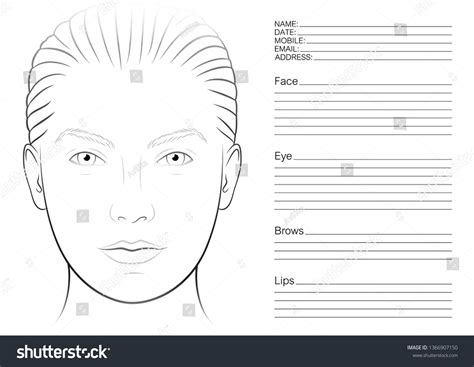 Face Chart Make Artist Blank Contour Stock Vector Royalty Free