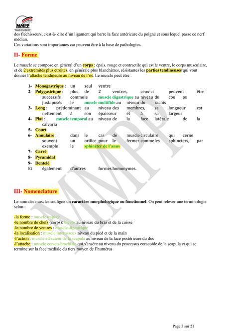 SOLUTION Anatomie générale des muscles Studypool