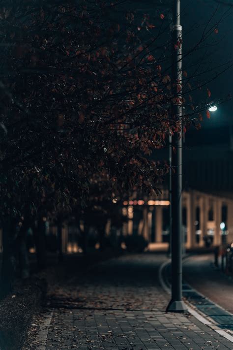 A street light on a city street at night photo – Free Grey Image on Unsplash