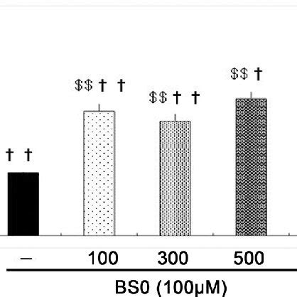 Effects Of Nac On Cell Viability In S Transfected Sh Sy Y Cells